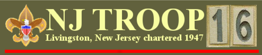 NJTrooplogojpg